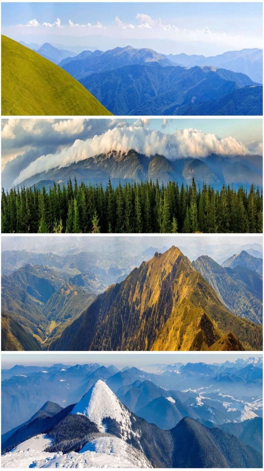 The different seasons