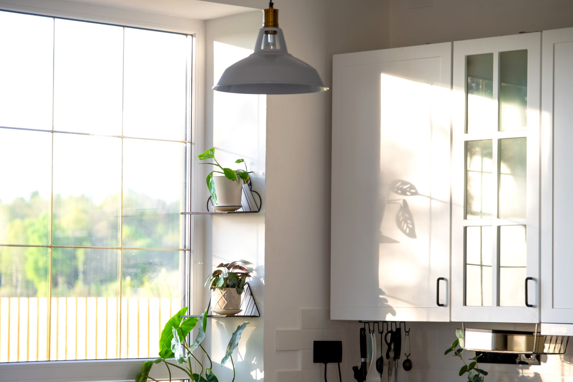 How Lighting Changes the Way Paint Colors Look